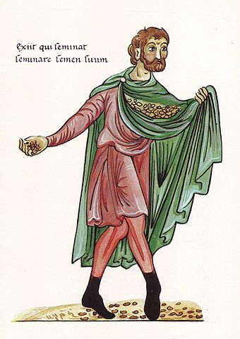 Le semeur est sorti pour semer sa semence